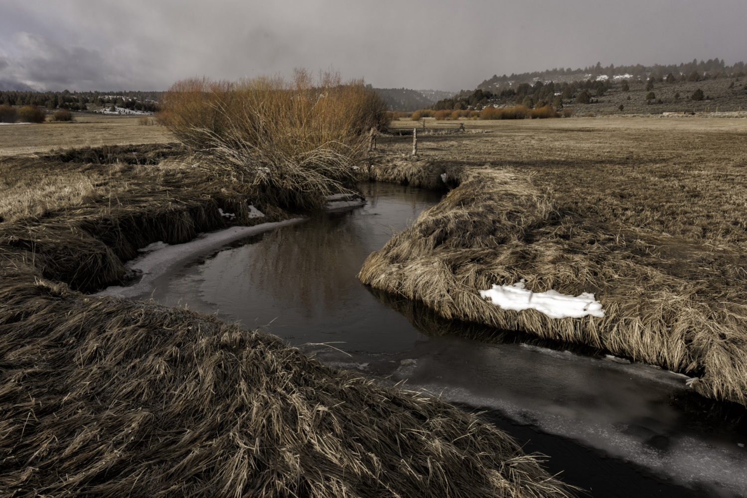 Robert Bush Photography ( Winter, Central Oregon Grasslands )