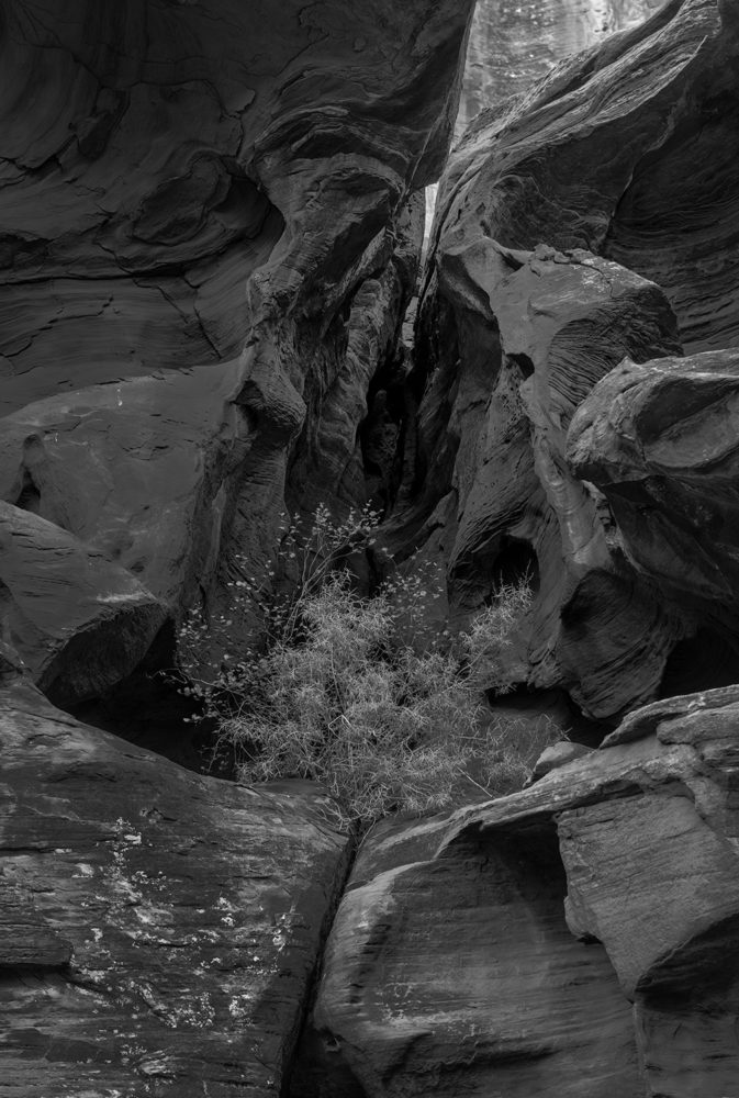 Robert Bush Photography ( Sandstone Shapes, Hunter Canyon )